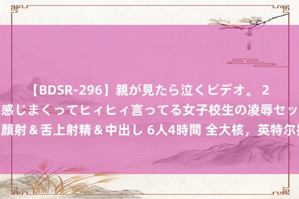 【BDSR-296】親が見たら泣くビデオ。 2 死にたくなるほど辛いのに感じまくってヒィヒィ言ってる女子校生の凌辱セックス。清楚系JKに顔射＆舌上射精＆中出し 6人4時間 全大核，英特尔推出“01E”系列第 14 代酷睿镶嵌式处置器