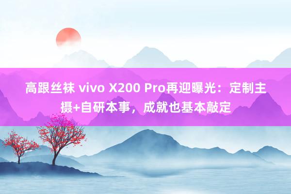 高跟丝袜 vivo X200 Pro再迎曝光：定制主摄+自研本事，成就也基本敲定