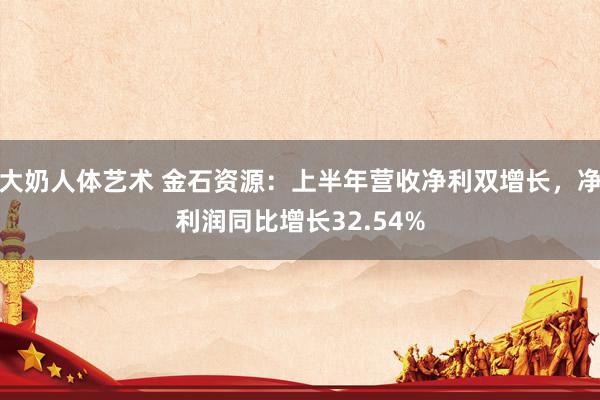 大奶人体艺术 金石资源：上半年营收净利双增长，净利润同比增长32.54%