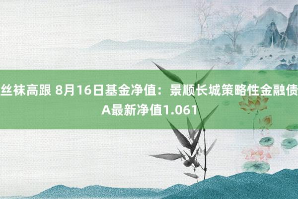 丝袜高跟 8月16日基金净值：景顺长城策略性金融债A最新净值1.061