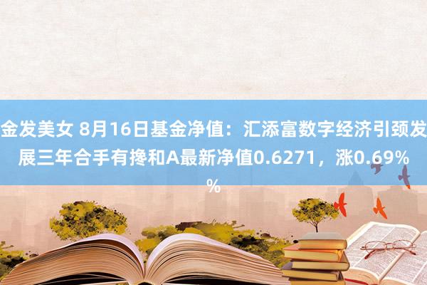 金发美女 8月16日基金净值：汇添富数字经济引颈发展三年合手有搀和A最新净值0.6271，涨0.69%