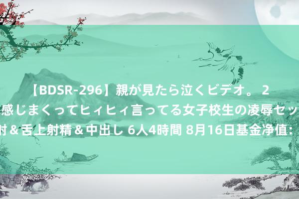 【BDSR-296】親が見たら泣くビデオ。 2 死にたくなるほど辛いのに感じまくってヒィヒィ言ってる女子校生の凌辱セックス。清楚系JKに顔射＆舌上射精＆中出し 6人4時間 8月16日基金净值：国寿安保泰和纯债债券最新净值1.0423，涨0.02%