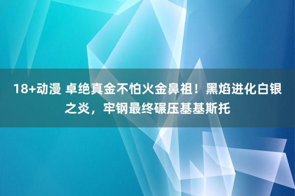 18+动漫 卓绝真金不怕火金鼻祖！黑焰进化白银之炎，牢钢最终碾压基基斯托