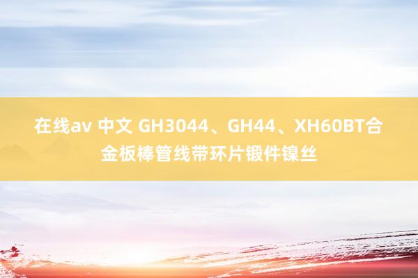 在线av 中文 GH3044、GH44、XH60BT合金板棒管线带环片锻件镍丝