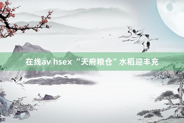 在线av hsex “天府粮仓”水稻迎丰充