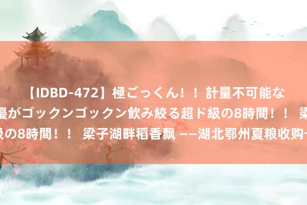 【IDBD-472】極ごっくん！！計量不可能な爆量ザーメンをS級女優がゴックンゴックン飲み絞る超ド級の8時間！！ 梁子湖畔稻香飘 ——湖北鄂州夏粮收购一线见闻