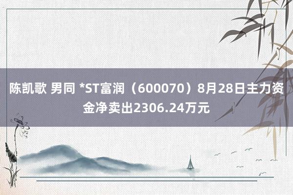 陈凯歌 男同 *ST富润（600070）8月28日主力资金净卖出2306.24万元