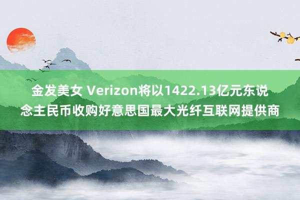 金发美女 Verizon将以1422.13亿元东说念主民币收购好意思国最大光纤互联网提供商