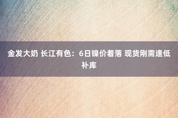 金发大奶 长江有色：6日镍价着落 现货刚需逢低补库