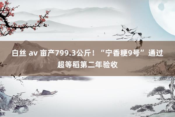 白丝 av 亩产799.3公斤！“宁香粳9号” 通过超等稻第二年验收