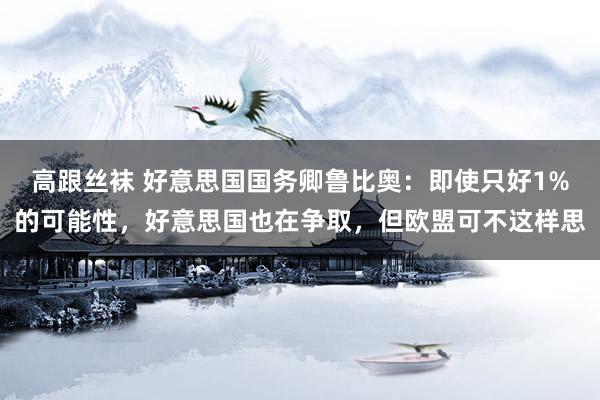 高跟丝袜 好意思国国务卿鲁比奥：即使只好1%的可能性，好意思国也在争取，但欧盟可不这样思